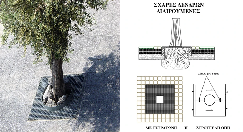 schares-prostasias-dentrwn-makgratings